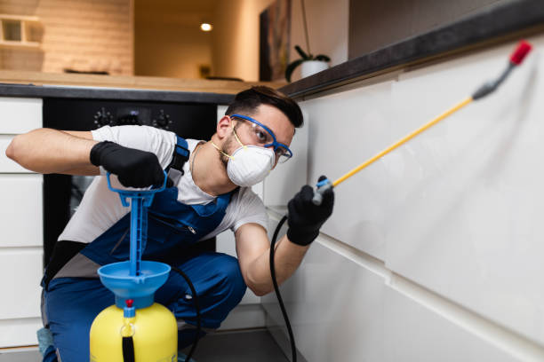 Best Emergency Pest Control  in Vivian, LA