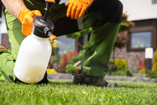 Best Wildlife Control Services  in Vivian, LA