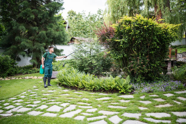 Best Affordable Pest Control Services  in Vivian, LA