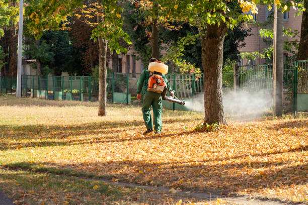 Flea Control Services in Vivian, LA
