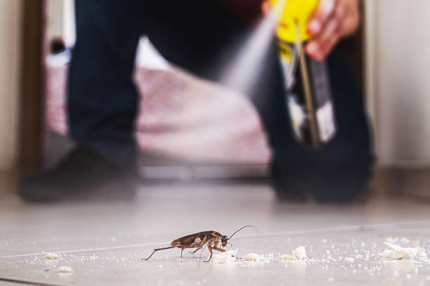 Best Residential Pest Control  in Vivian, LA