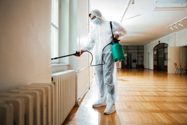 Best Flea Control Services  in Vivian, LA