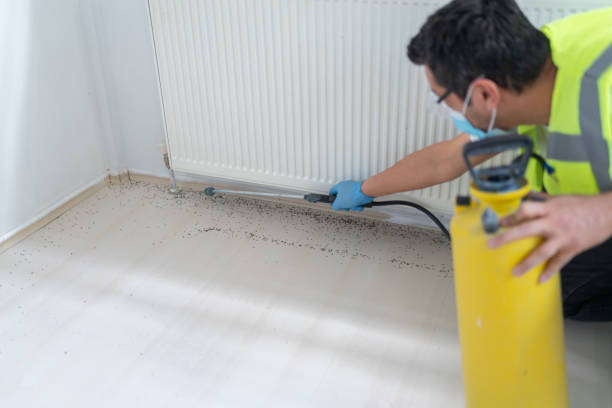 Best Best Pest Control Companies  in Vivian, LA